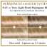 HAIRWONDER KAUAPÜSIV VÄRV VÄGA HELE PÄRLMUTTER-MAHAGONBLOND 9.25